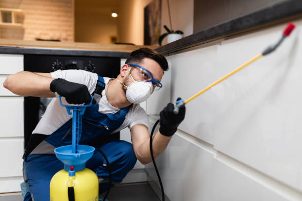 Best Mosquito Control Services  in North Oaks, MN