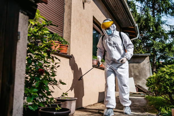 Best Rat Extermination Near Me  in North Oaks, MN