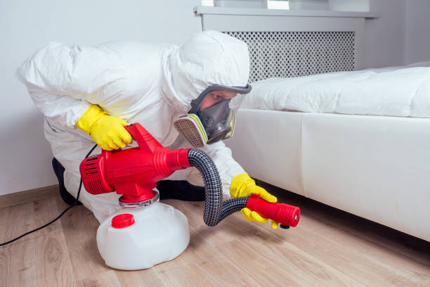 Best Affordable Pest Control Services  in North Oaks, MN