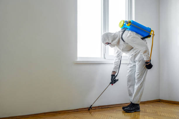 Best Local Pest Control Services  in North Oaks, MN