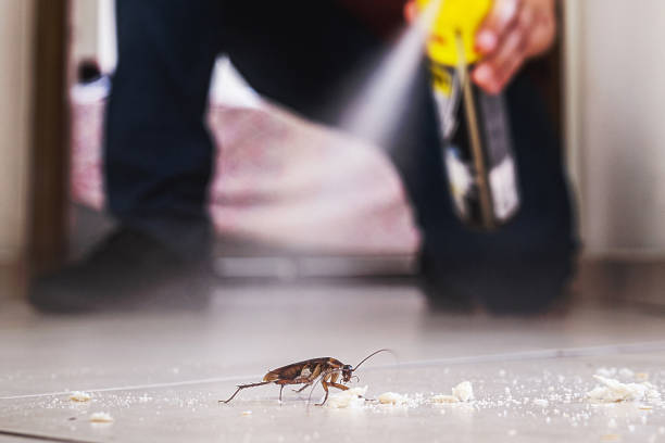 Best Local Pest Control Services  in North Oaks, MN