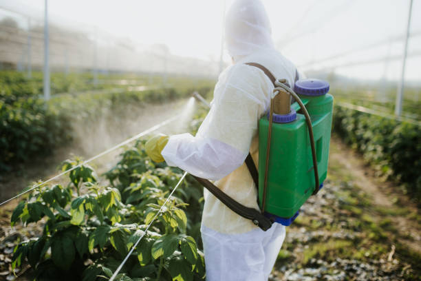 Best Commercial Pest Control Services  in North Oaks, MN